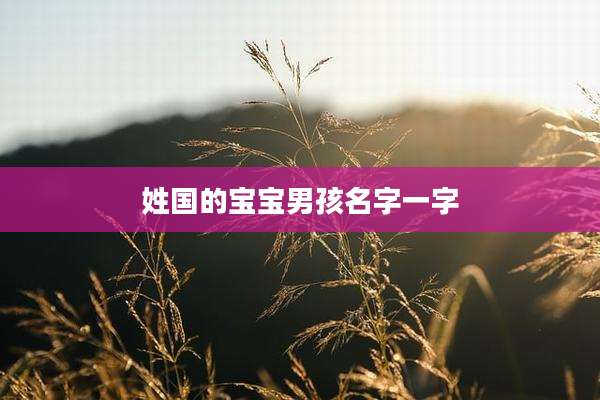 姓国的宝宝男孩名字一字