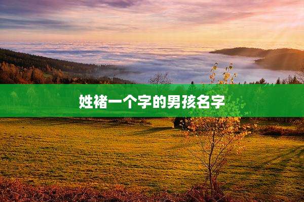 姓褚一个字的男孩名字