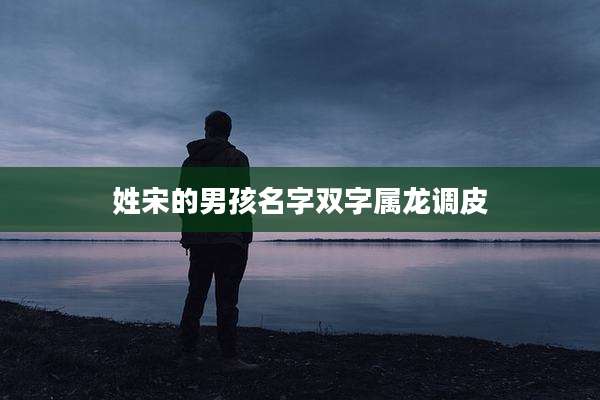 姓宋的男孩名字双字属龙调皮