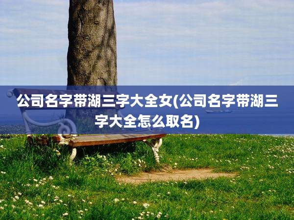 公司名字带湖三字大全女(公司名字带湖三字大全怎么取名)