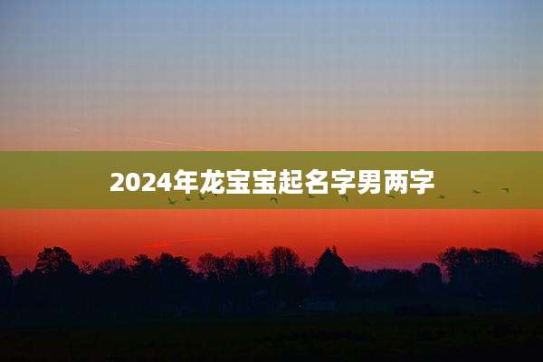 2024年龙宝宝起名字男两字