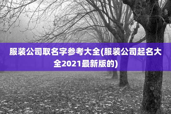 服装公司取名字参考大全(服装公司起名大全2021最新版的)