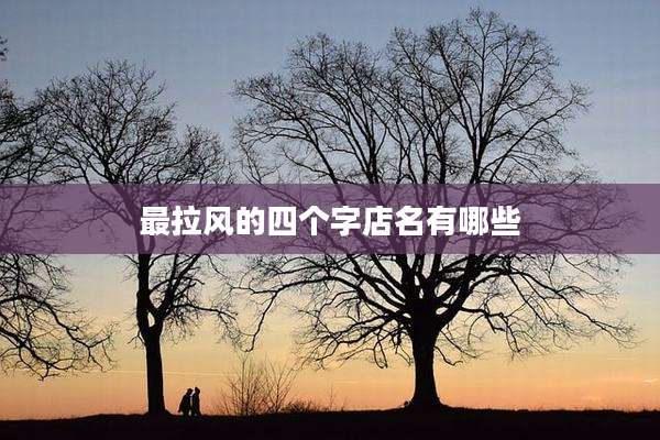 最拉风的四个字店名有哪些