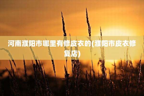 河南濮阳市哪里有修皮衣的(濮阳市皮衣修复店)