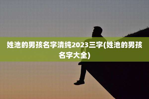 姓池的男孩名字清纯2023三字(姓池的男孩名字大全)