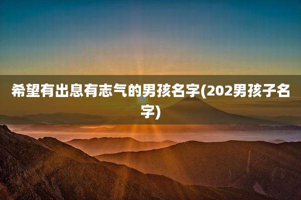 希望有出息有志气的男孩名字(202男孩子名字)