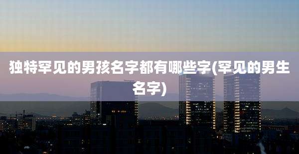 独特罕见的男孩名字都有哪些字(罕见的男生名字)