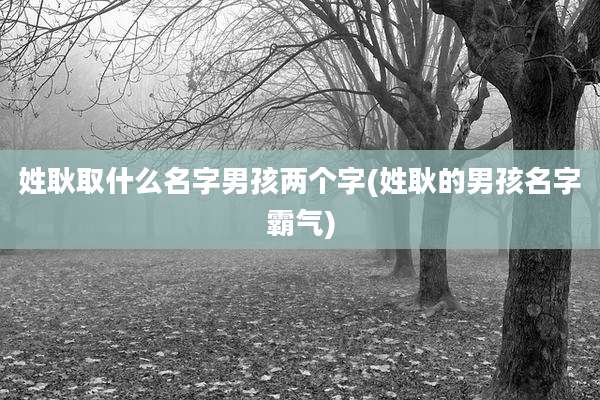 姓耿取什么名字男孩两个字(姓耿的男孩名字霸气)