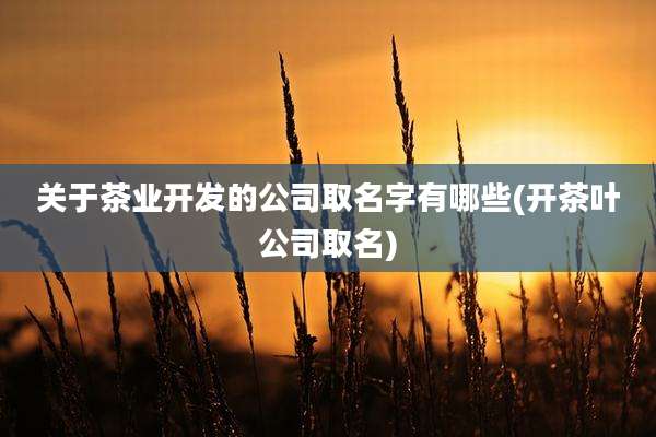 关于茶业开发的公司取名字有哪些(开茶叶公司取名)