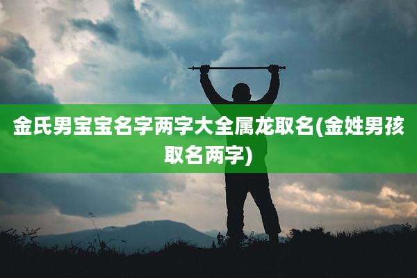 金氏男宝宝名字两字大全属龙取名(金姓男孩取名两字)