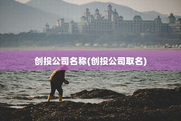 创***司名称(创***司取名)