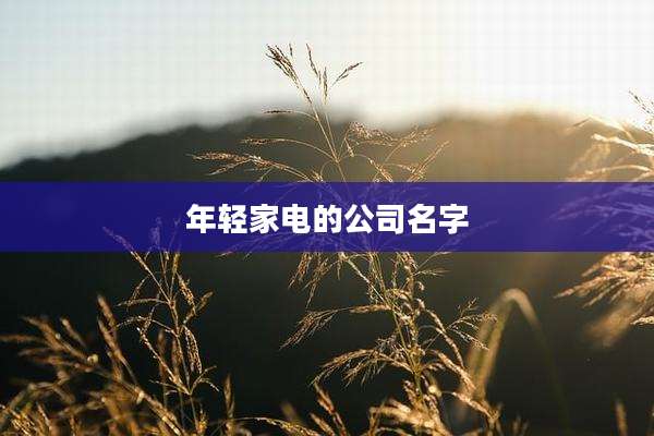 年轻家电的公司名字