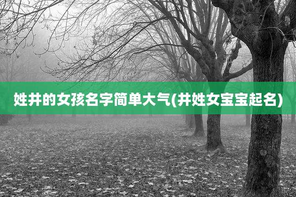 姓井的女孩名字简单大气(井姓女宝宝起名)