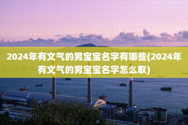 2024年有文气的男宝宝名字有哪些(2024年有文气的男宝宝名字怎么取)