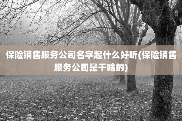 保险销售服务公司名字起什么好听(保险销售服务公司是干啥的)