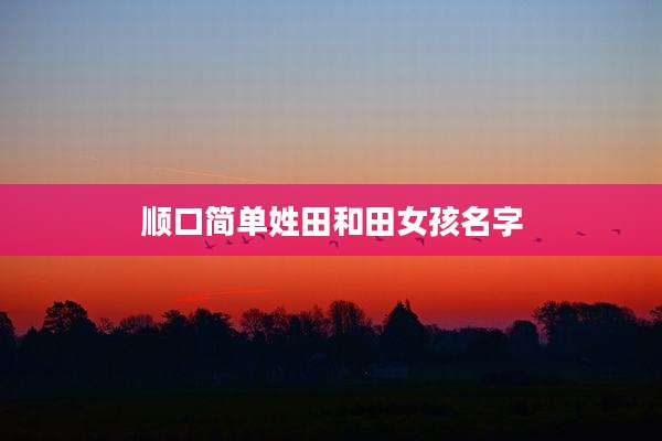 顺口简单姓田和田女孩名字