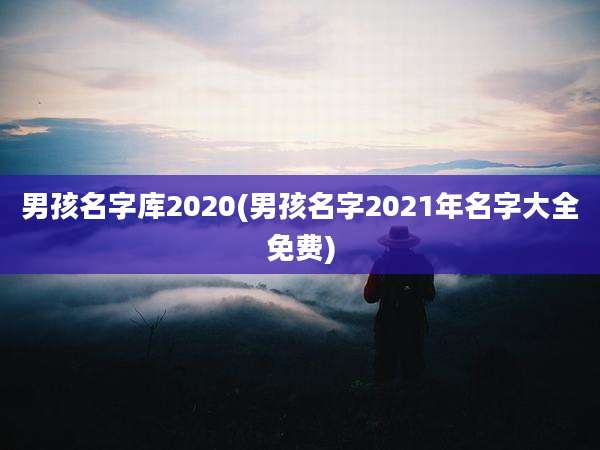 男孩名字库2020(男孩名字2021年名字大全免费)