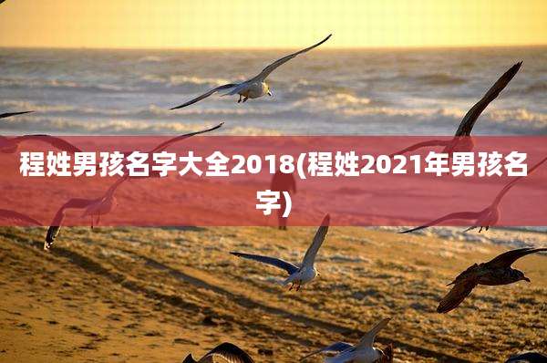 程姓男孩名字大全2018(程姓2021年男孩名字)