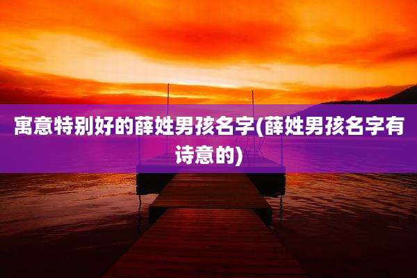 寓意特别好的薛姓男孩名字(薛姓男孩名字有诗意的)