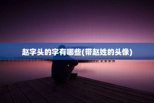 赵字头的字有哪些(带赵姓的头像)