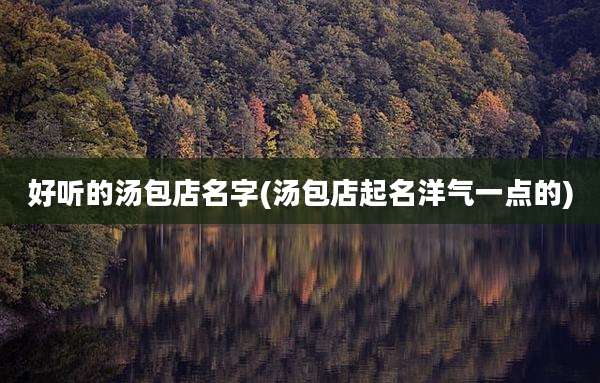 好听的汤包店名字(汤包店起名洋气一点的)