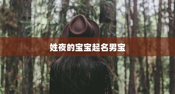 姓夜的宝宝起名男宝