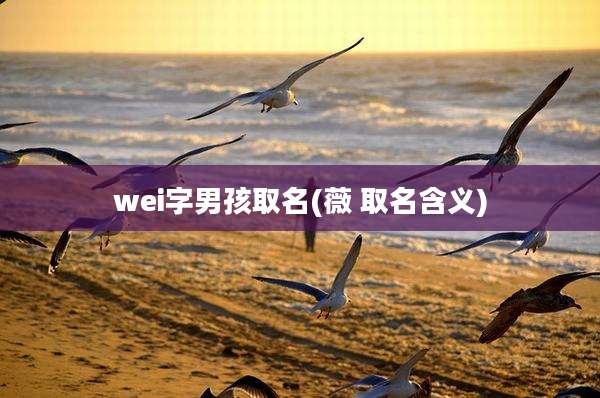 wei字男孩取名(薇 取名含义)
