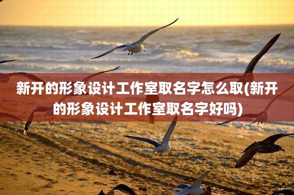 新开的形象设计工作室取名字怎么取(新开的形象设计工作室取名字好吗)