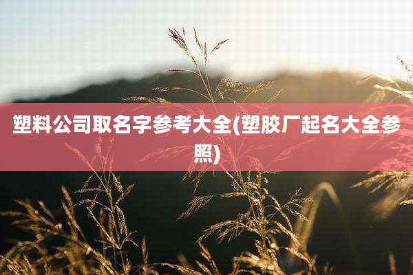 塑料公司取名字参考大全(塑胶厂起名大全参照)