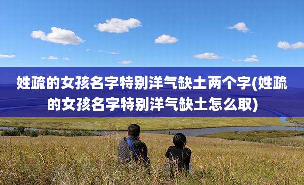 姓疏的女孩名字特别洋气缺土两个字(姓疏的女孩名字特别洋气缺土怎么取)