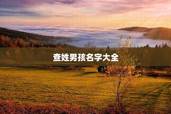 查姓男孩名字大全