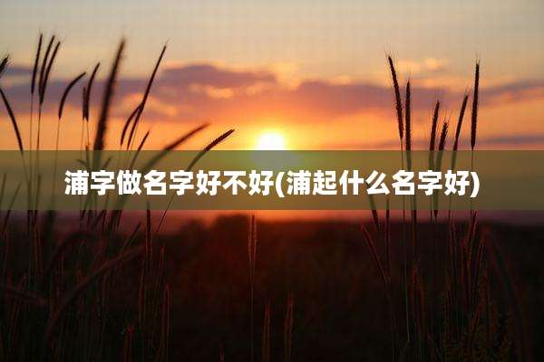 浦字做名字好不好(浦起什么名字好)