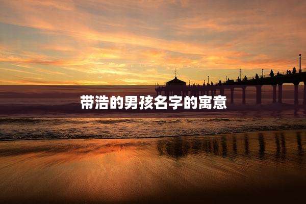 带浩的男孩名字的寓意