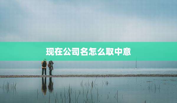 现在公司名怎么取中意