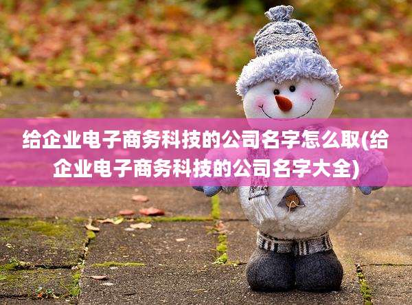 给企业电子商务科技的公司名字怎么取(给企业电子商务科技的公司名字大全)