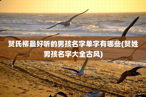 贺氏柳最好听的男孩名字单字有哪些(贺姓男孩名字大全古风)