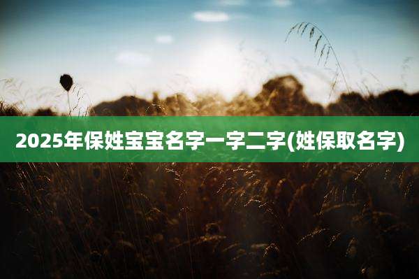 2025年保姓宝宝名字一字二字(姓保取名字)