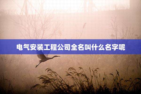 电气安装工程公司全名叫什么名字呢