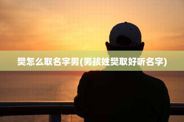 樊怎么取名字男(男孩姓樊取好听名字)