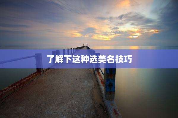 了解下这种选美名技巧