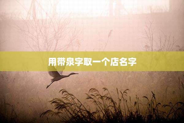 用带泉字取一个店名字