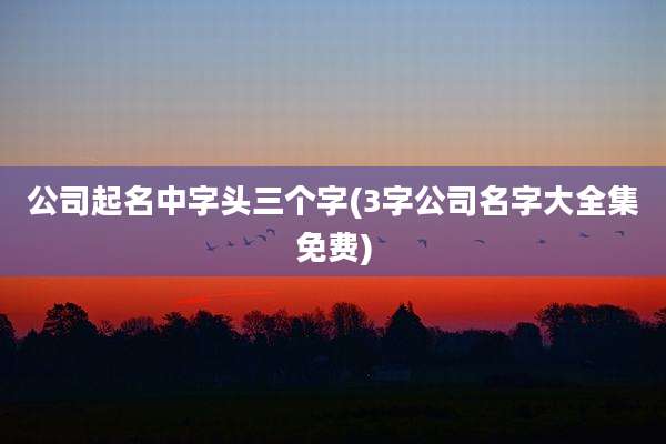 公司起名中字头三个字(3字公司名字大全集免费)