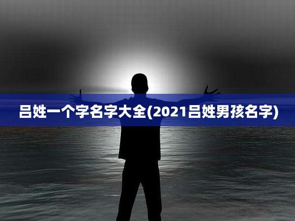 吕姓一个字名字大全(2021吕姓男孩名字)