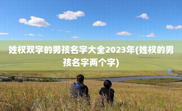 姓权双字的男孩名字大全2023年(姓权的男孩名字两个字)