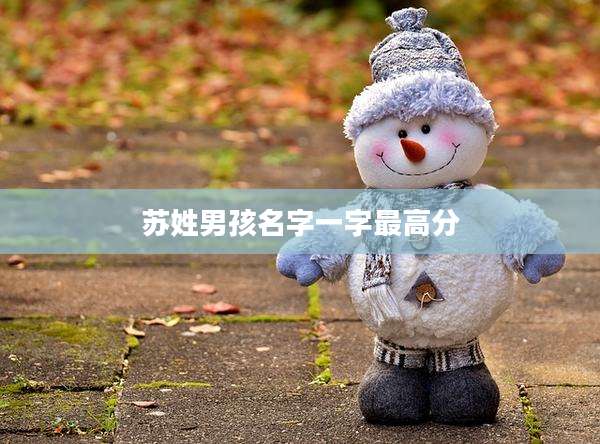 苏姓男孩名字一字最高分