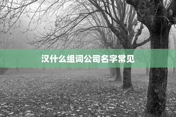 汉什么组词公司名字常见