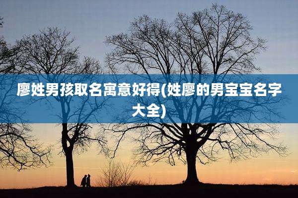 廖姓男孩取名寓意好得(姓廖的男宝宝名字大全)