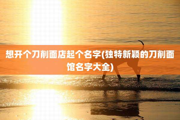 想开个刀削面店起个名字(独特新颖的刀削面馆名字大全)