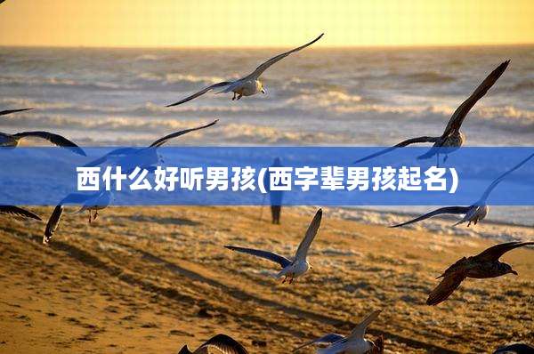 西什么好听男孩(西字辈男孩起名)