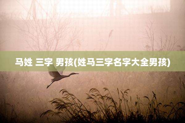 马姓 三字 男孩(姓马三字名字大全男孩)